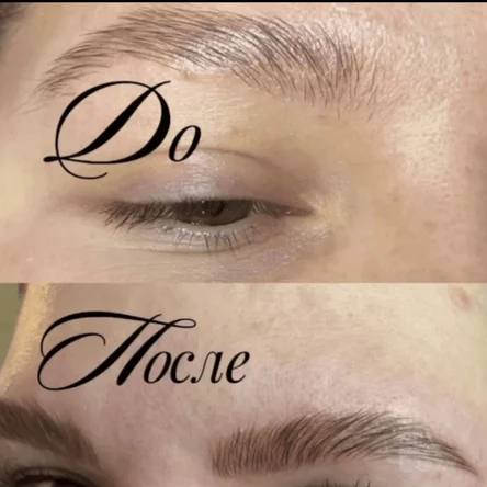 Окрашивание+Коррекция бровей